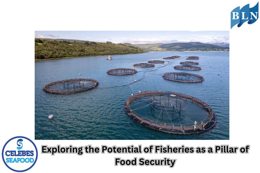 Exploring the Potential of Fisheries as a Pillar of Food Security